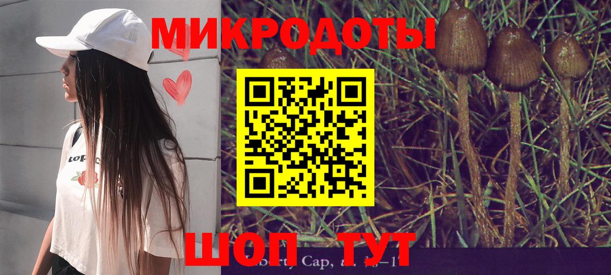 Йошкар-Ола  Галлюциногенные грибы Psilocybe  где продают   Вход с VPN 